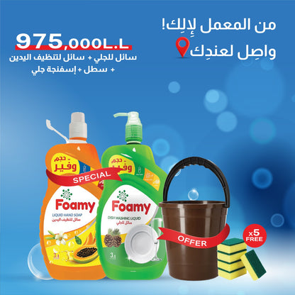 Foamy Liquid Hand Soap + Dishwashing Liquid + Pail + Scouring sponge