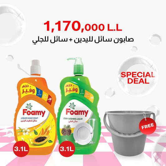 Foamy Hand soap + Dishwashing Liquid +Gift offer