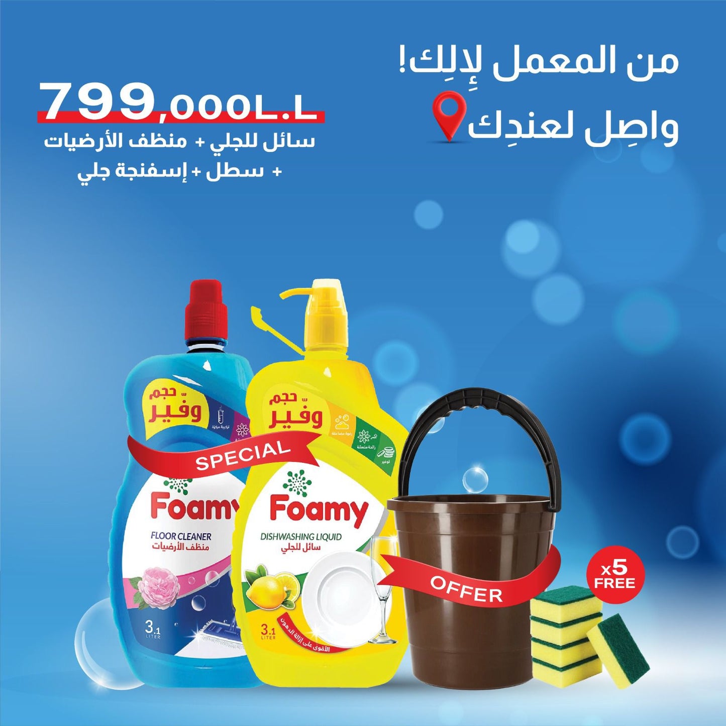 Foamy Floor Cleaner + Dishwashing Liquid + Pail + Scouring sponge Offer